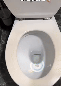 Target Toilet Night Light 1