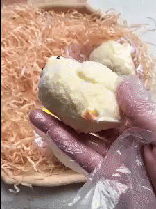 Realistic Plush Little Chick 1