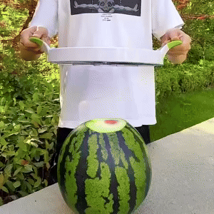 Watermelon Slicer 1