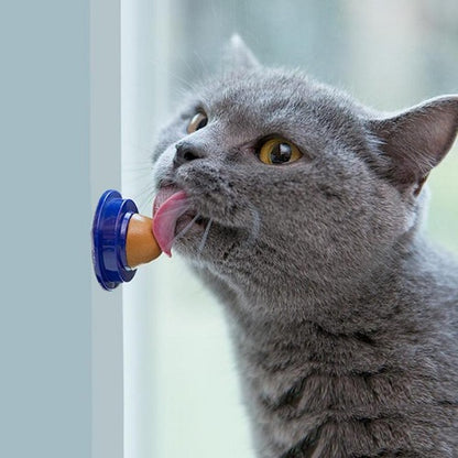 Cat & Kitten Healthy Treat 7pcs 1