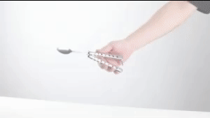 Butterfly Cutlery 1