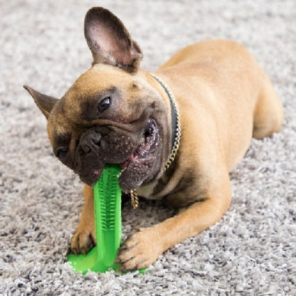 STRESS-FREE DIY DOG TOOTHBRUSH 1