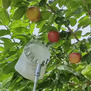 Fruit Picker Head 1