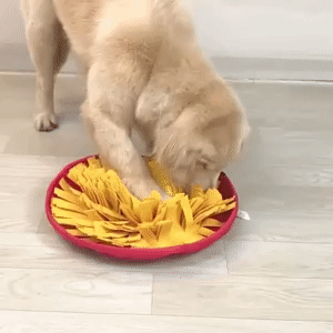 Dog sniffing pad 1