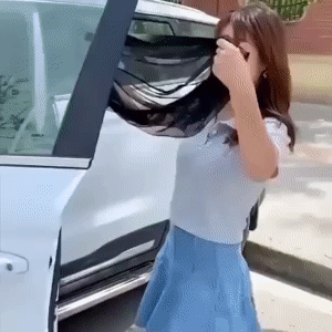 Universal Car Window Screens 1