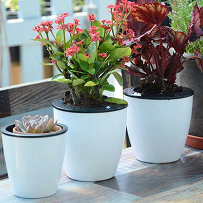 Self Watering Flower Pot (Various Sizes) 1
