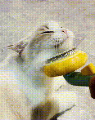 Pumpkin Design Cat Groomer Brush 1