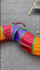 Interactive Snake Toy 1