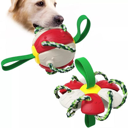 Interactive Dog Toy 1