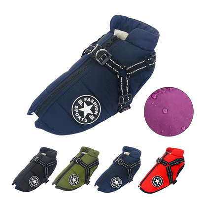 Dog Waterproof Jacket With Harness 1
