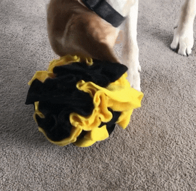 Snuffle Ball 1