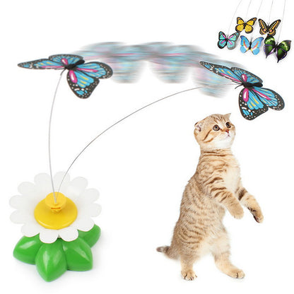 Cat Toy 1