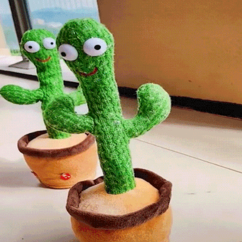 Dancing Cactus 1