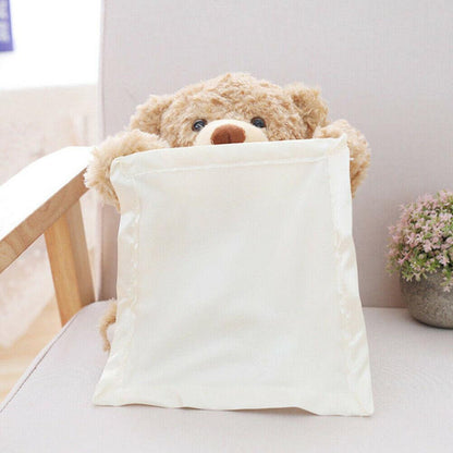 Peek-A-Boo Teddy Bear 1