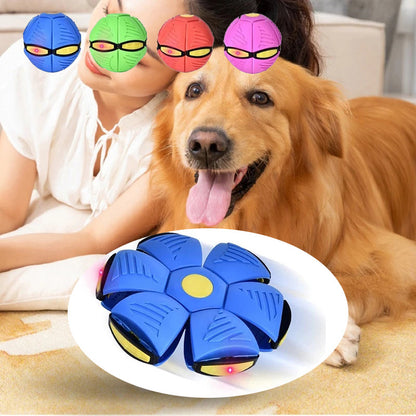 Doggy Flying Saucer Disc Ball 1
