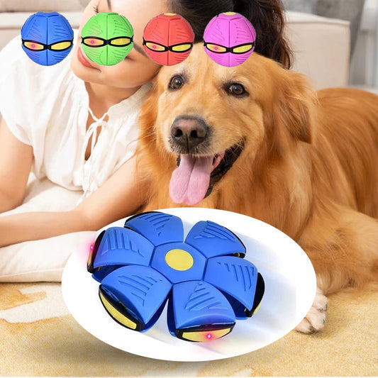 Doggy Flying Saucer Disc Ball 1