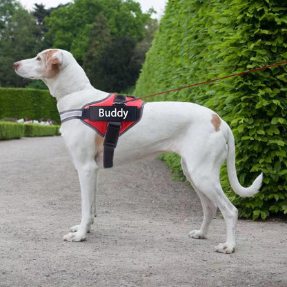 NO PULL Reflective Breathable Adjustable Dog Harness 1