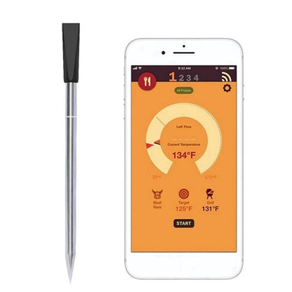 BBQ Wireless Thermometer 1