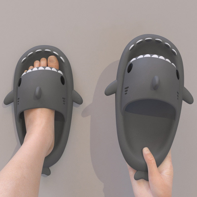 PREMIUM SHARK SLIDES 1