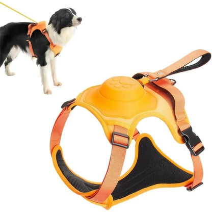 No-Pull Adjustable Dog Harness with Leash 1