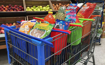 Reusable Trolley Bags 1