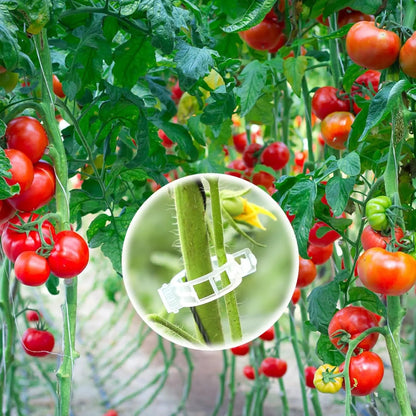 Plant Support Clips-100PCS 1