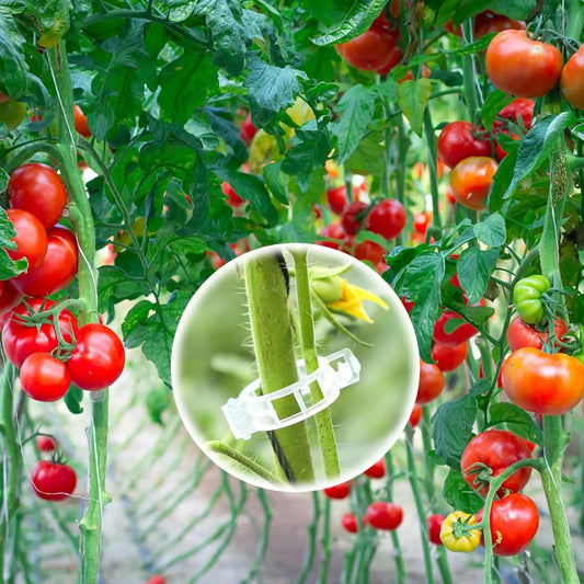 Plant Support Clips-100PCS 1