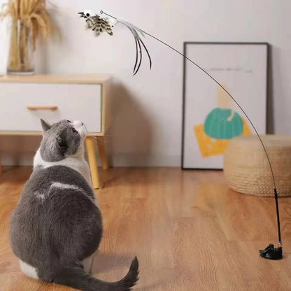 Interactive Bird Simulation Cat Toy Set 1