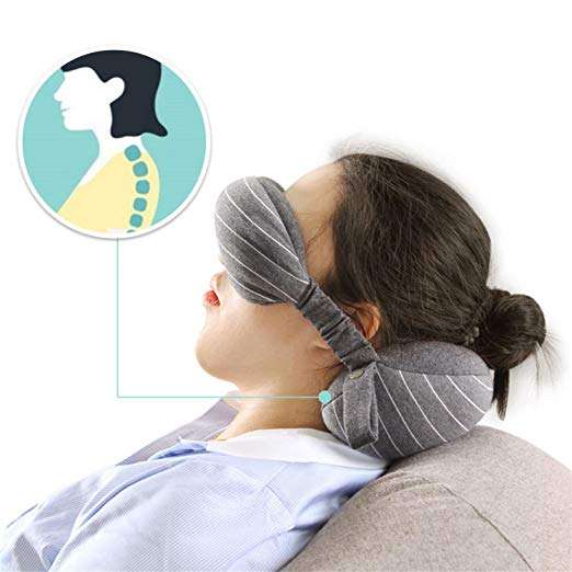 2 in 1 Travel Pillow 1