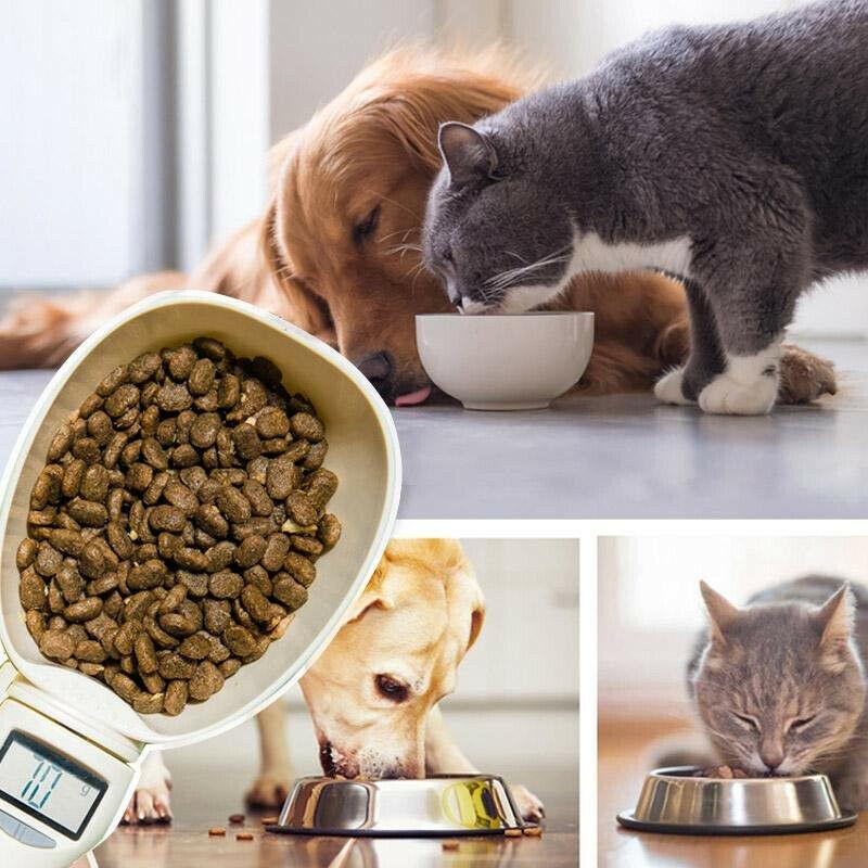 Pet Food Measuring Scoop 1