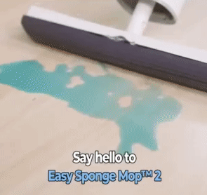 Eyliden Sponge Mop 1