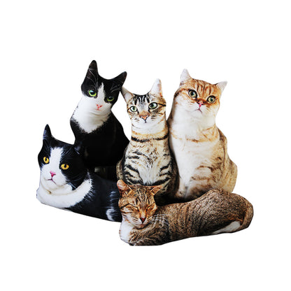 Realistic Cat Cushion 1