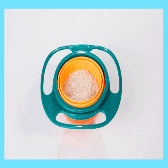 Spill-Proof Bowl 1