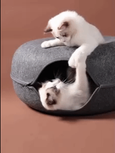 Cat Round Donut Bed 1