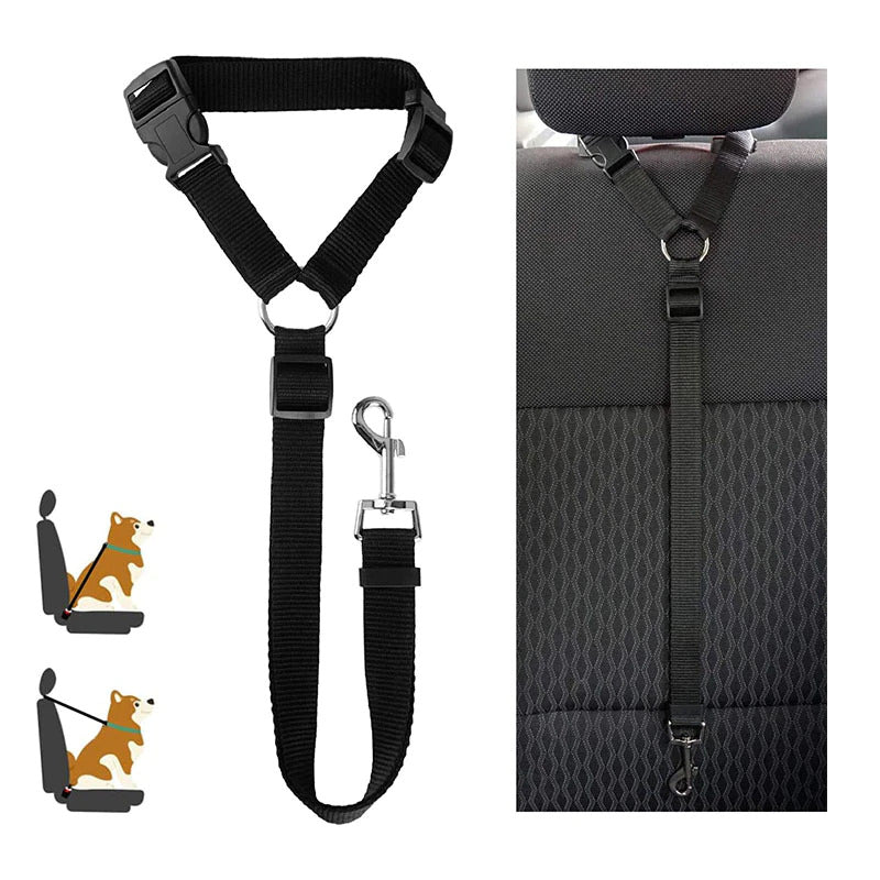 New Design Car Dog Leash 1