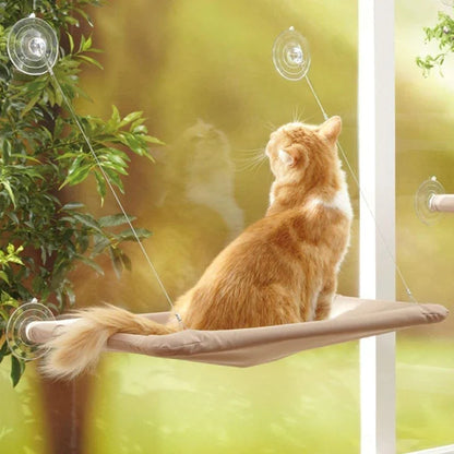 Cat Window Hammock 1
