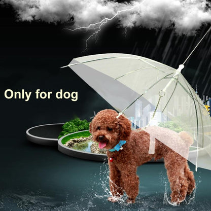 Transparent Dog Umbrella 1