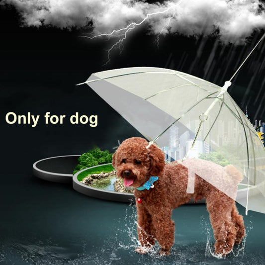Transparent Dog Umbrella 1
