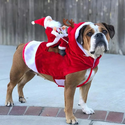 Santa Claus Pet Custom 1