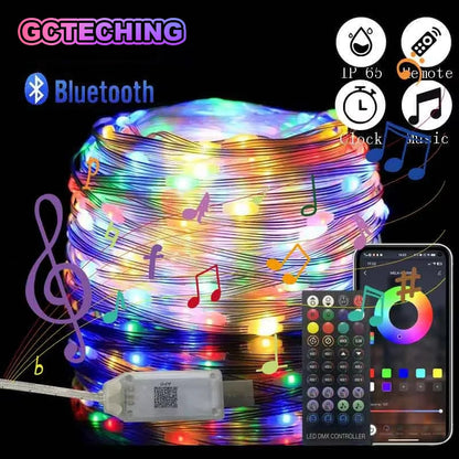 DIY Festive Sound Activated Ambient Light (10 Meters ) 1