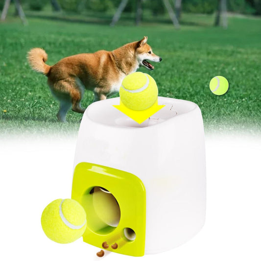 Automatic Ball Launcher 1