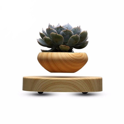 MAGNETIC LEVITATING FLOATING PLANT POT 1