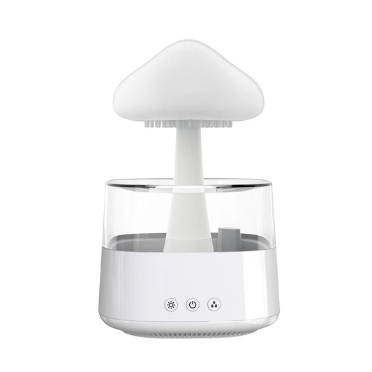 Rain Cloud Diffuser Humidifier 1