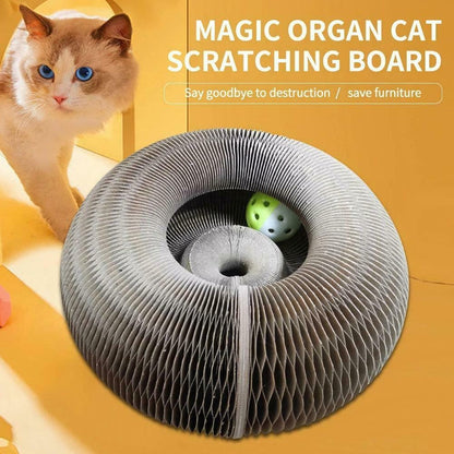 Magic Organ Cat Scratching Board 1