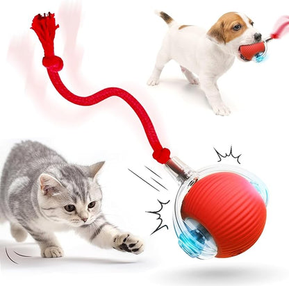 BounceTug Play Ball – Interactive Pet Toy 1