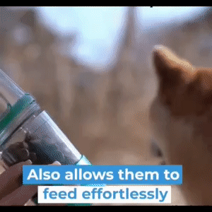 Pet Water Bottle Feeder 4-in-1 1