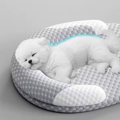 Pet Cooling Bed 1