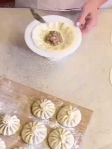 Dumpling Machine 1