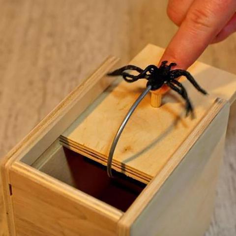 Spider Box Prank 1