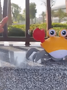 Sensing Crawling Crab Baby Toys 1